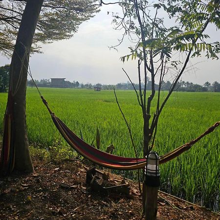 Tung Tong Homestay & Camping Mae Rim Dış mekan fotoğraf