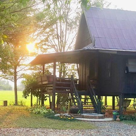 Tung Tong Homestay & Camping Mae Rim Dış mekan fotoğraf