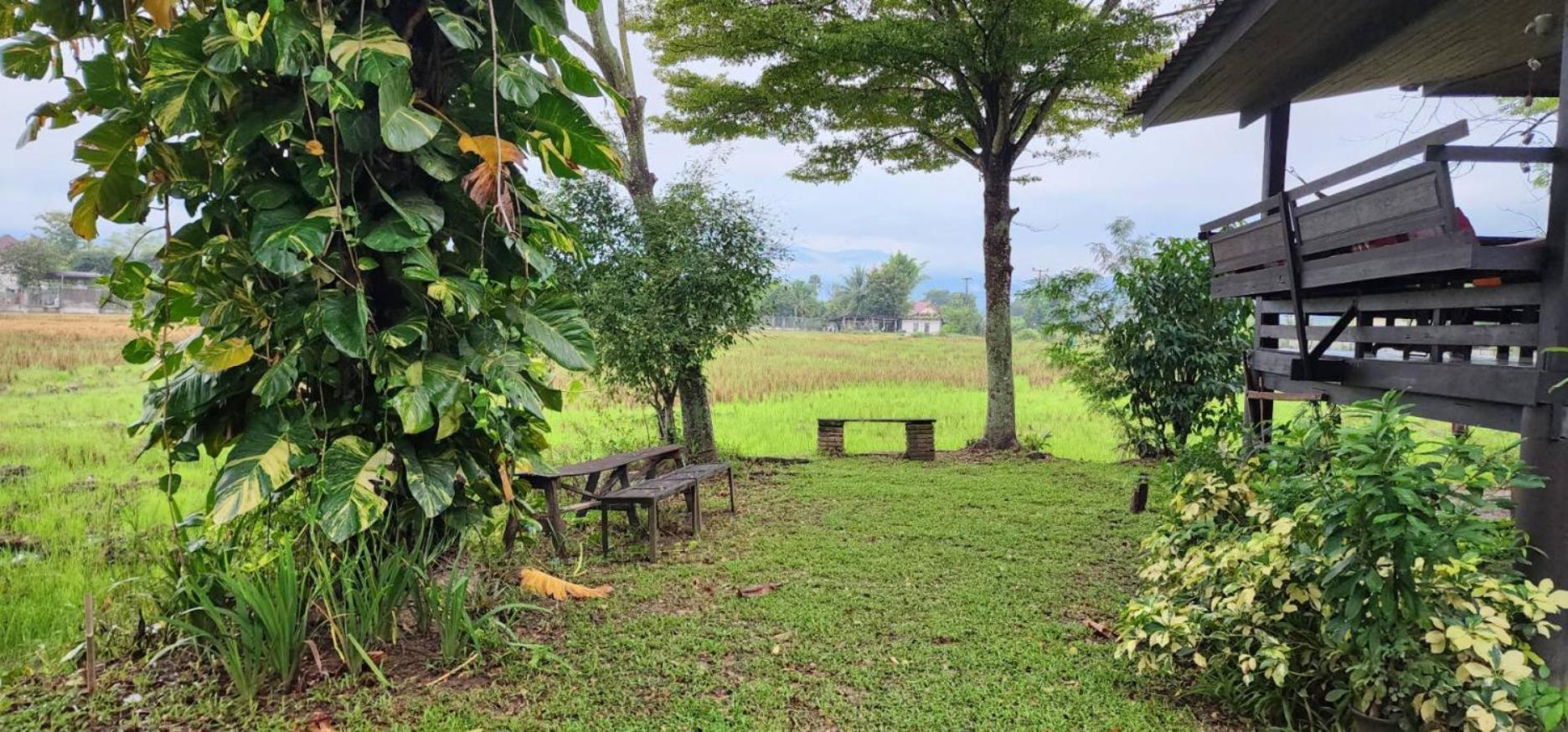 Tung Tong Homestay & Camping Mae Rim Dış mekan fotoğraf