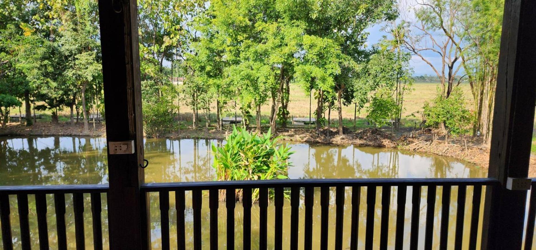 Tung Tong Homestay & Camping Mae Rim Dış mekan fotoğraf