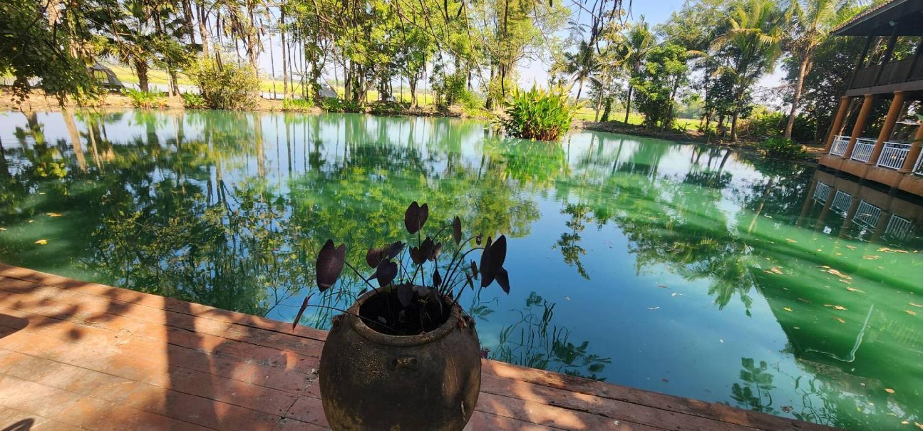 Tung Tong Homestay & Camping Mae Rim Dış mekan fotoğraf