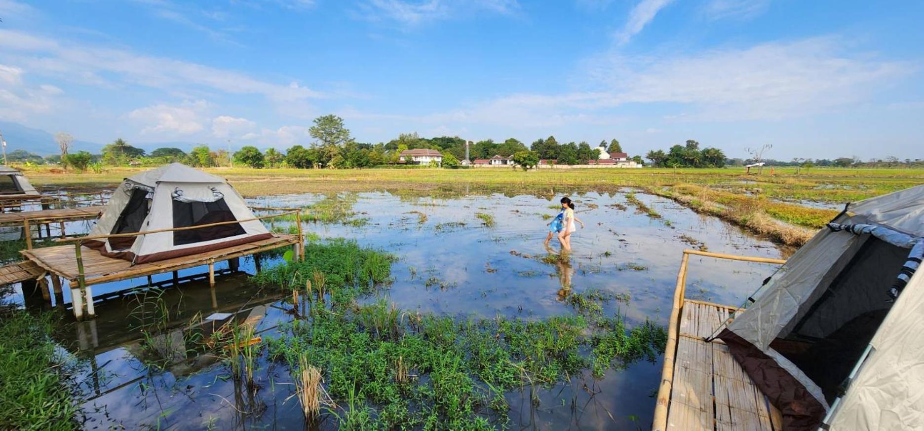 Tung Tong Homestay & Camping Mae Rim Dış mekan fotoğraf