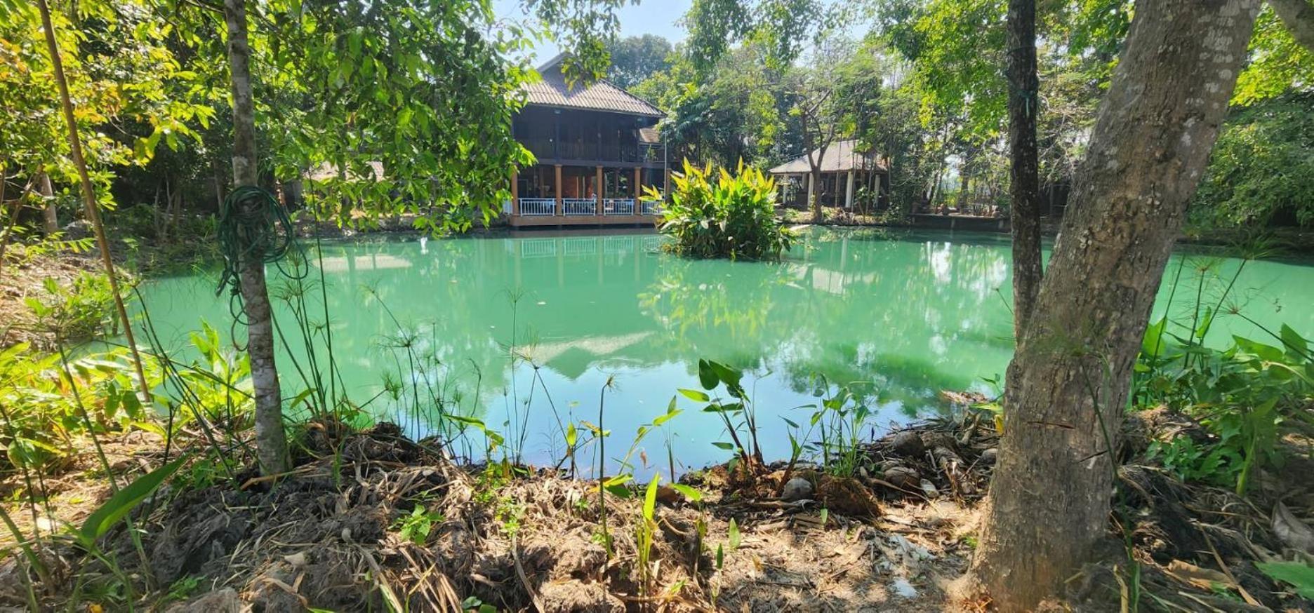 Tung Tong Homestay & Camping Mae Rim Dış mekan fotoğraf