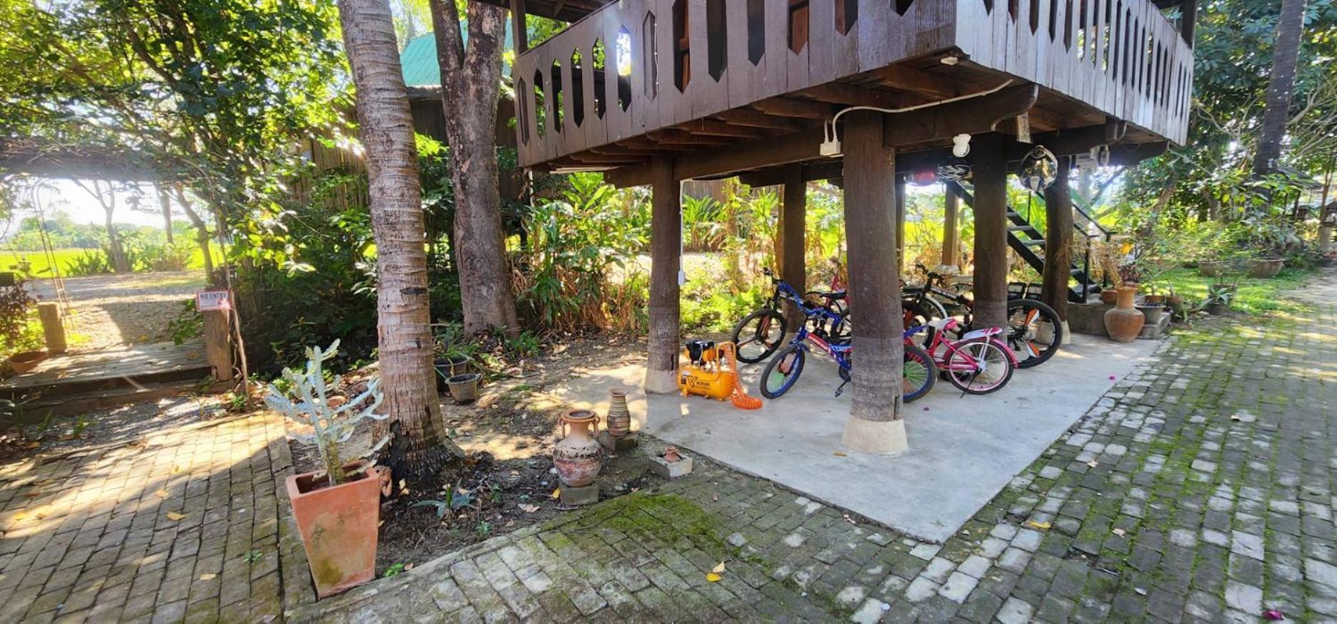 Tung Tong Homestay & Camping Mae Rim Dış mekan fotoğraf