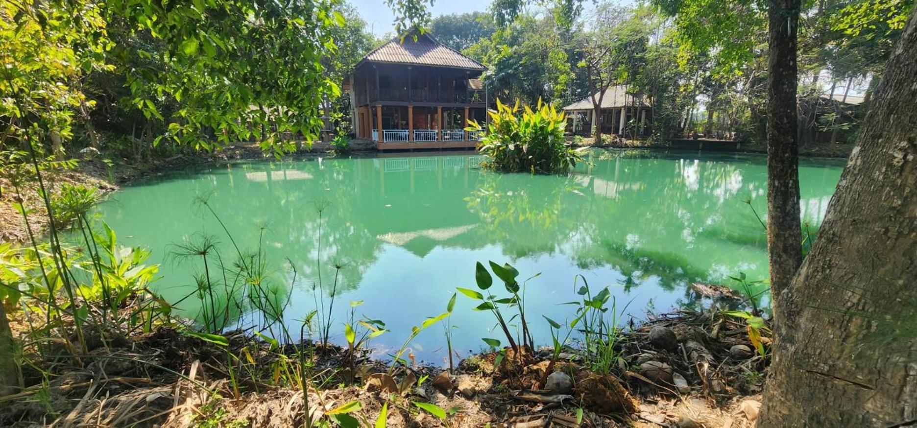 Tung Tong Homestay & Camping Mae Rim Dış mekan fotoğraf
