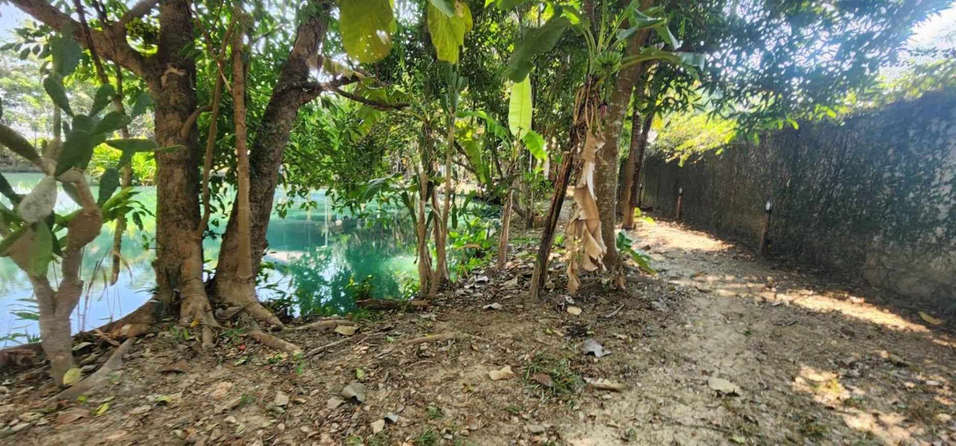 Tung Tong Homestay & Camping Mae Rim Dış mekan fotoğraf
