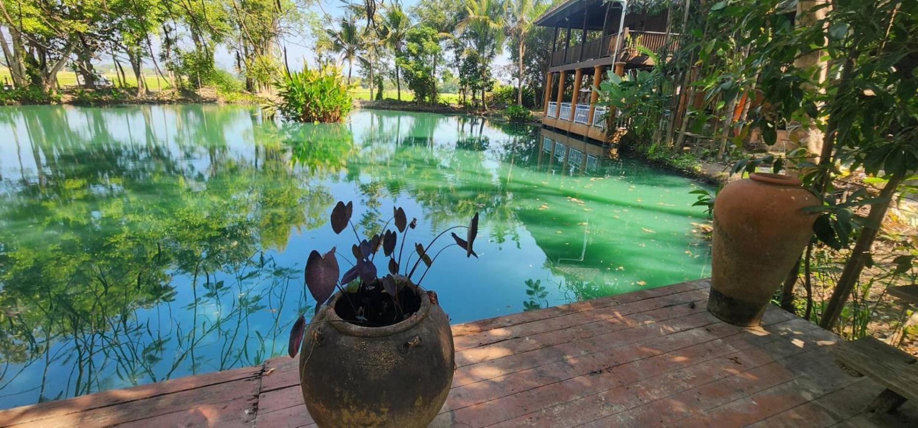 Tung Tong Homestay & Camping Mae Rim Dış mekan fotoğraf