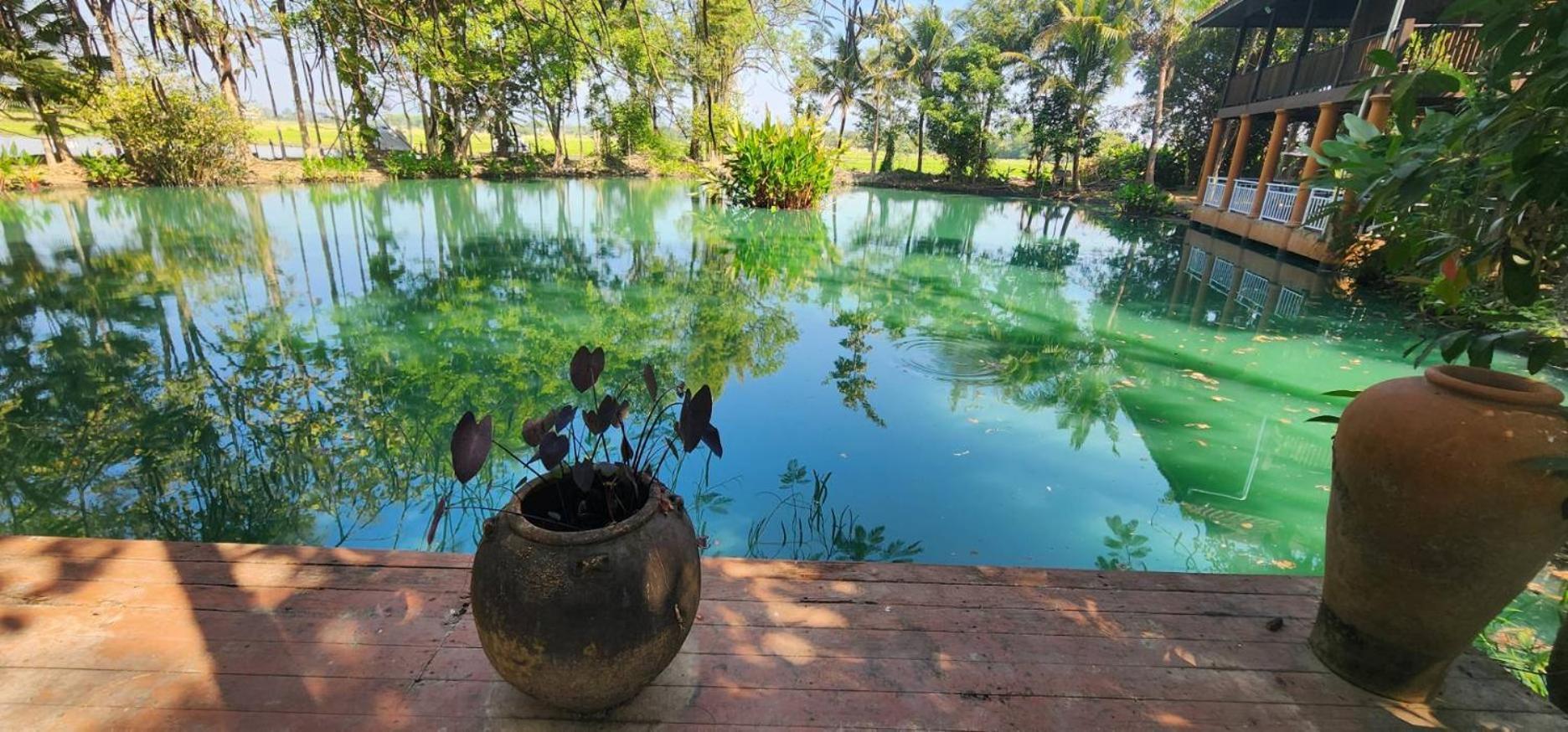 Tung Tong Homestay & Camping Mae Rim Dış mekan fotoğraf
