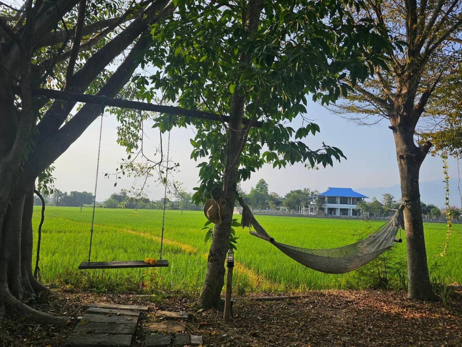 Tung Tong Homestay & Camping Mae Rim Dış mekan fotoğraf