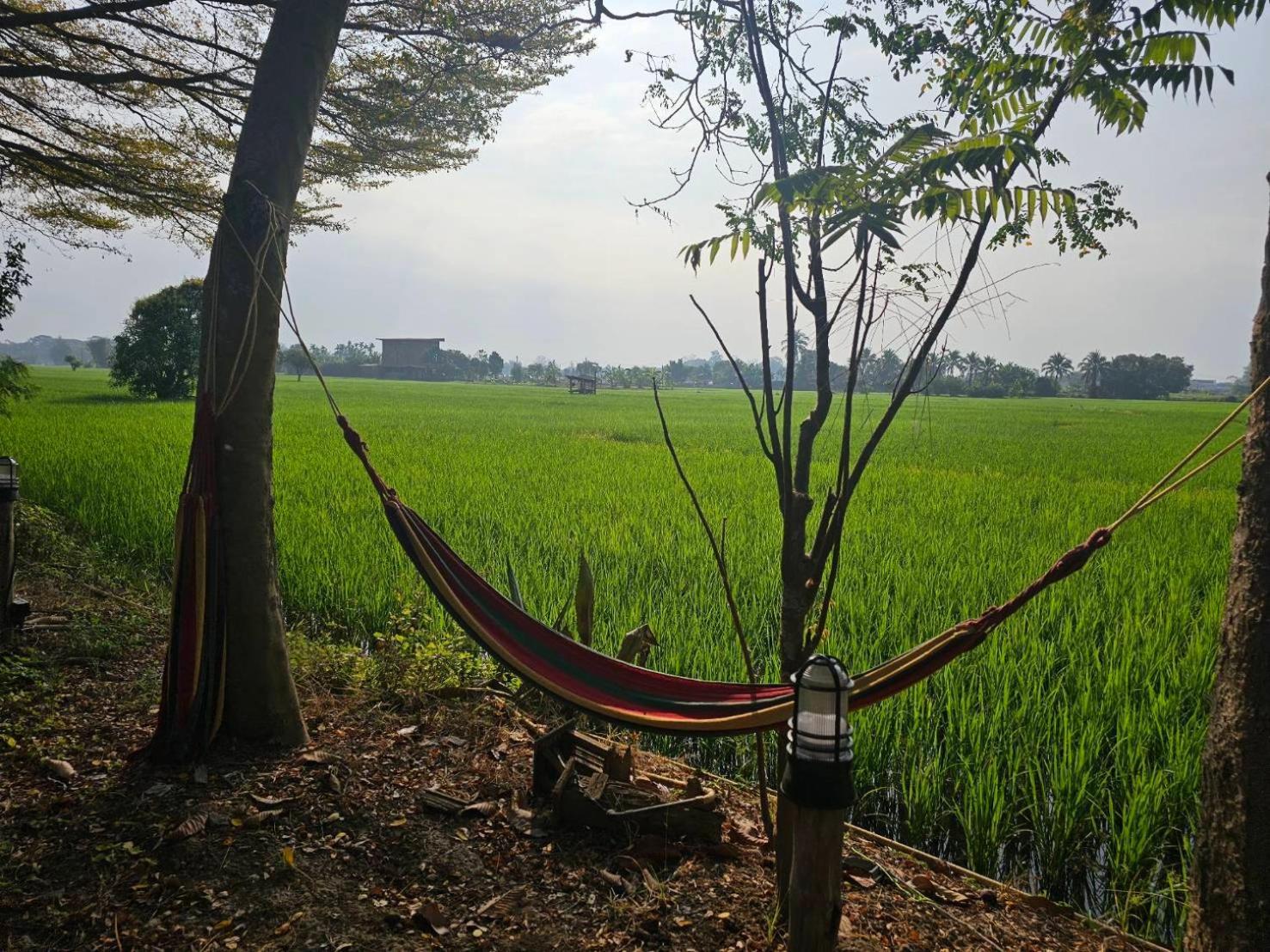 Tung Tong Homestay & Camping Mae Rim Dış mekan fotoğraf