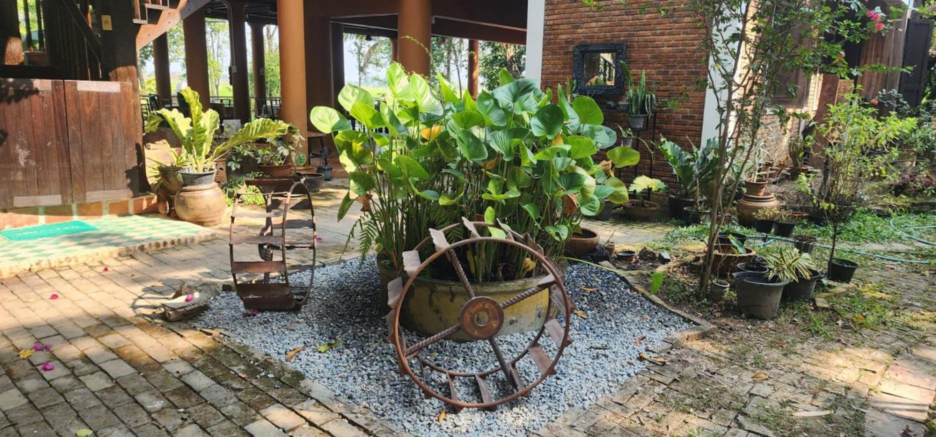 Tung Tong Homestay & Camping Mae Rim Dış mekan fotoğraf