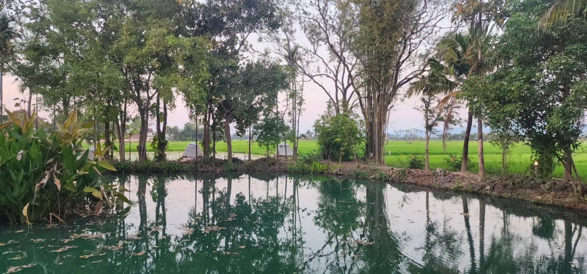 Tung Tong Homestay & Camping Mae Rim Dış mekan fotoğraf