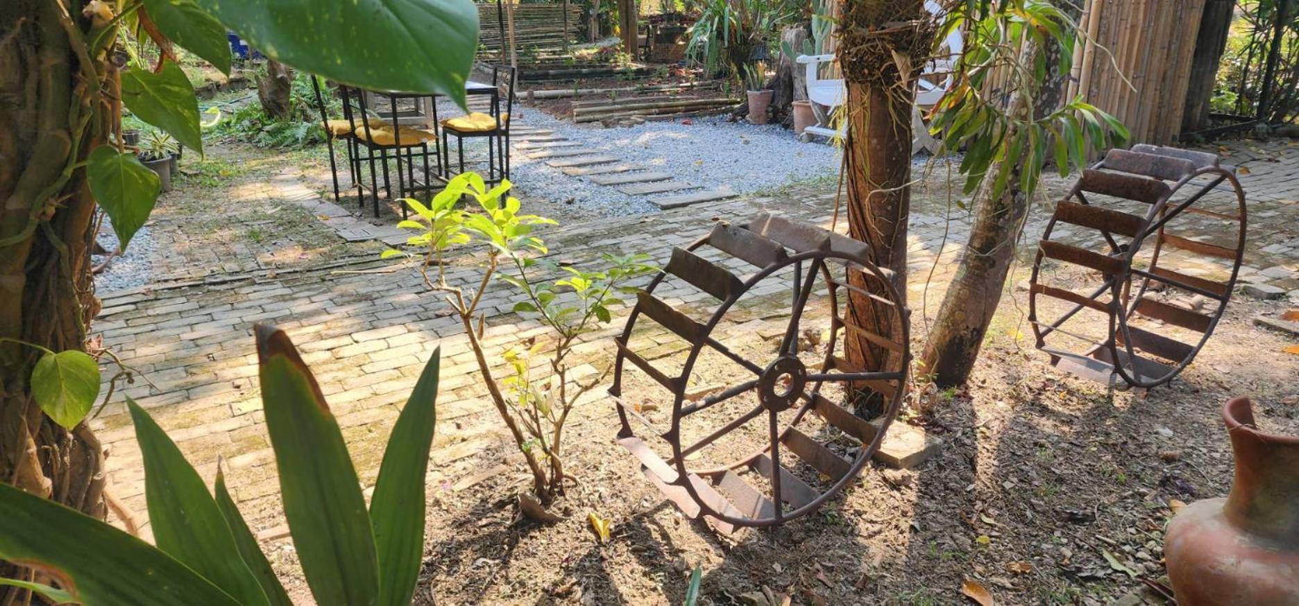 Tung Tong Homestay & Camping Mae Rim Dış mekan fotoğraf