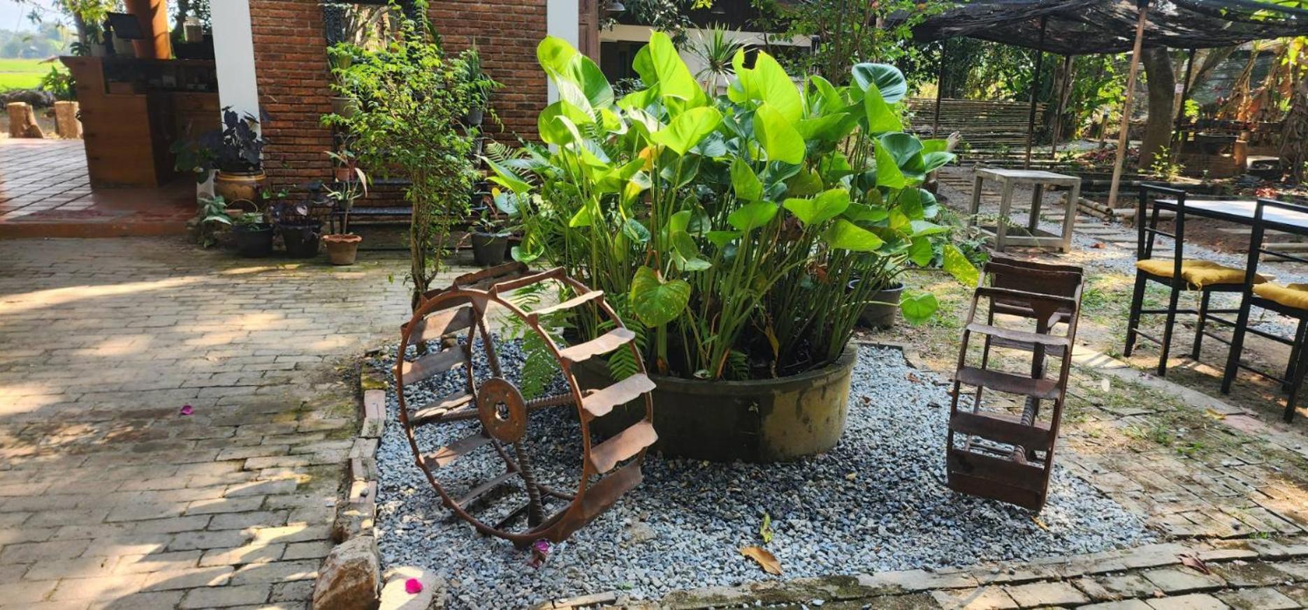 Tung Tong Homestay & Camping Mae Rim Dış mekan fotoğraf
