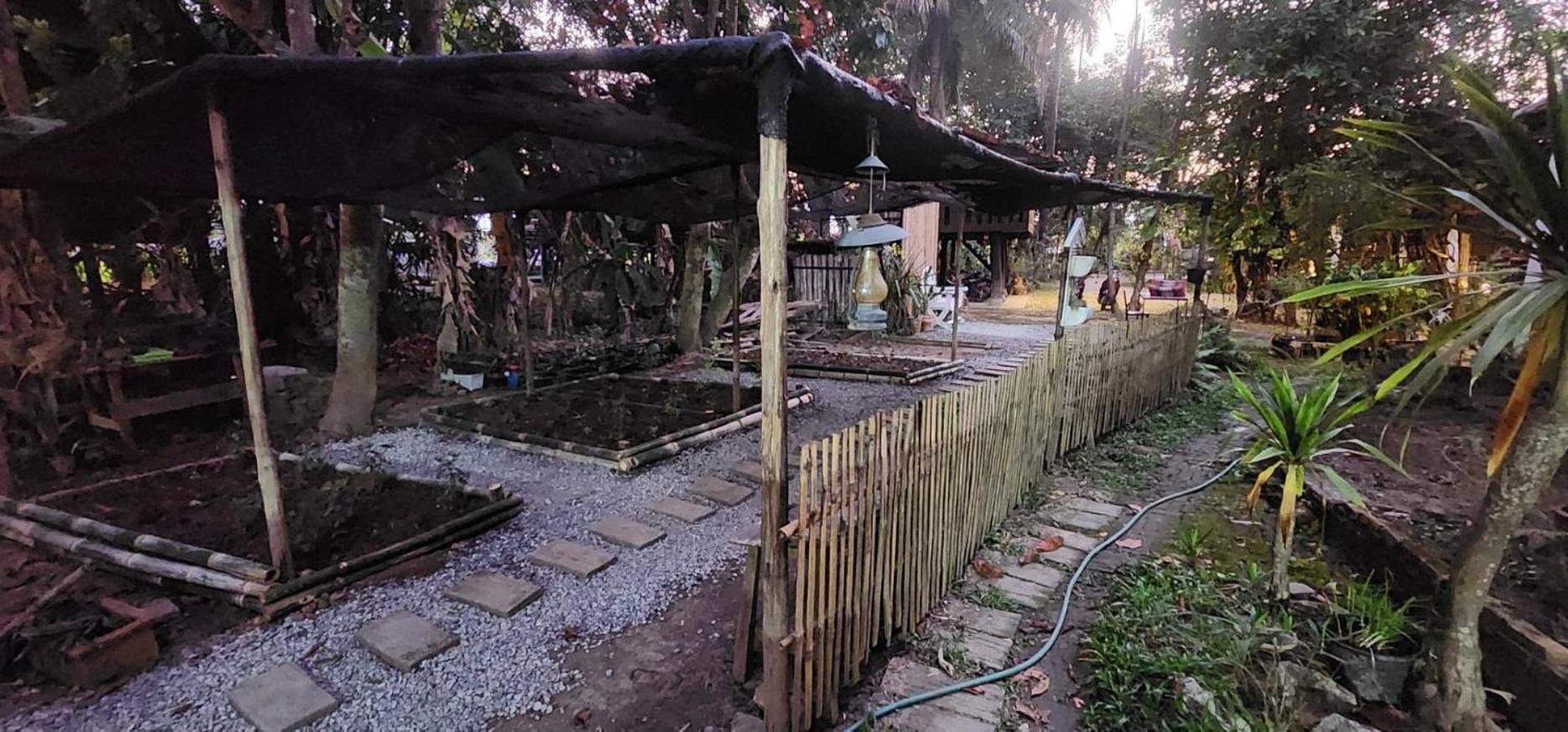 Tung Tong Homestay & Camping Mae Rim Dış mekan fotoğraf