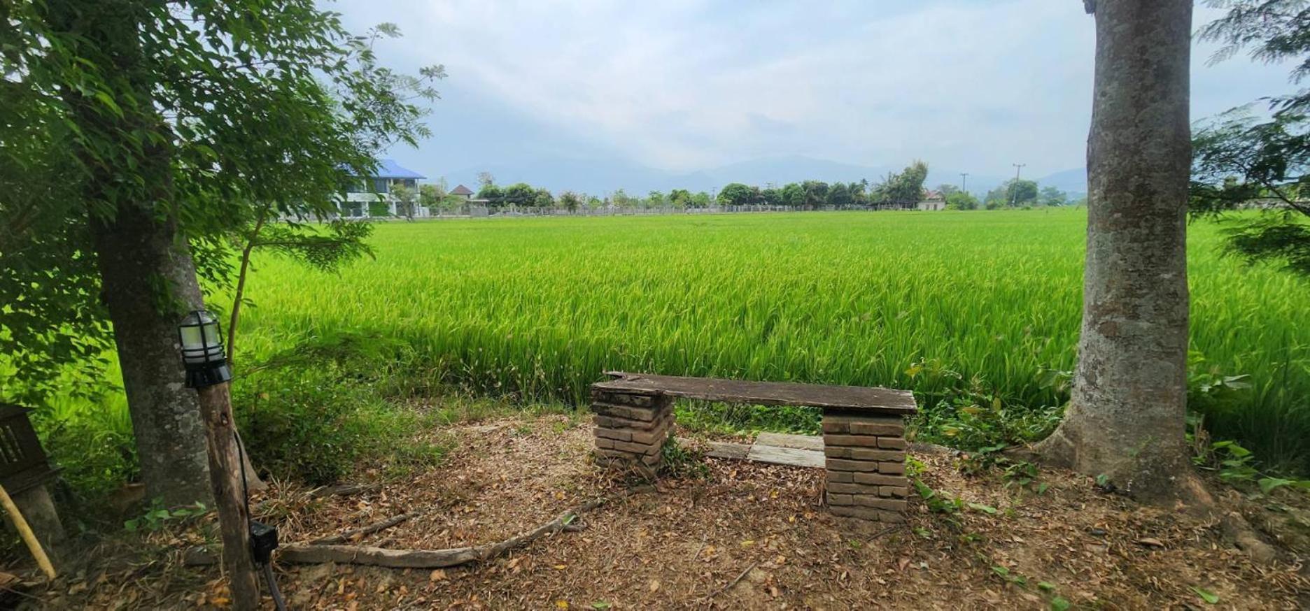 Tung Tong Homestay & Camping Mae Rim Dış mekan fotoğraf