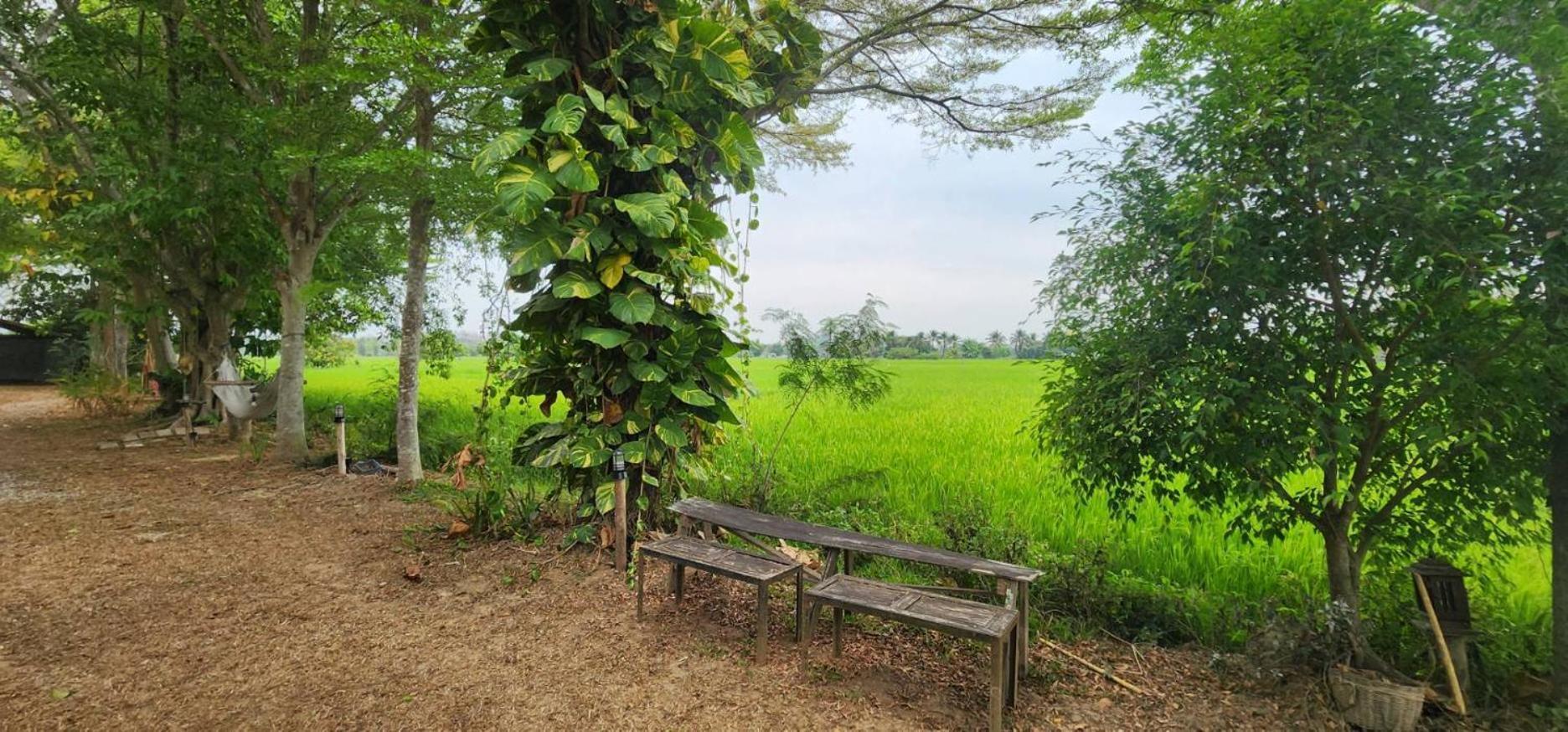 Tung Tong Homestay & Camping Mae Rim Dış mekan fotoğraf