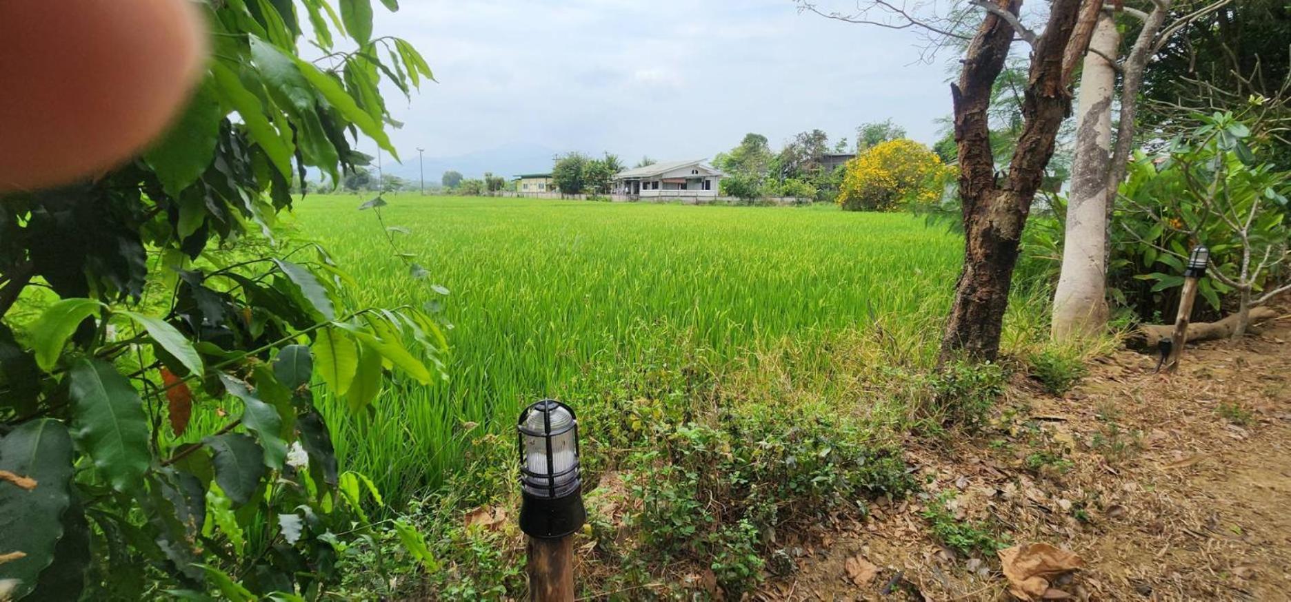 Tung Tong Homestay & Camping Mae Rim Dış mekan fotoğraf