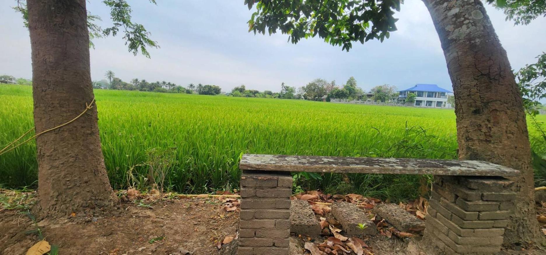 Tung Tong Homestay & Camping Mae Rim Dış mekan fotoğraf