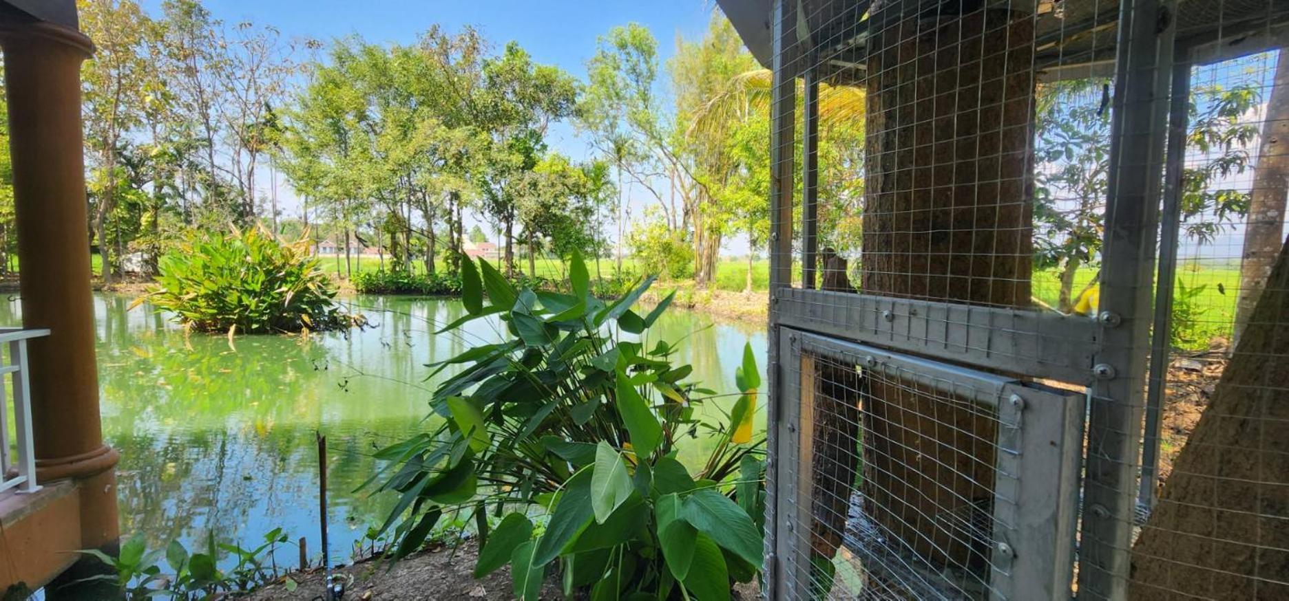 Tung Tong Homestay & Camping Mae Rim Dış mekan fotoğraf