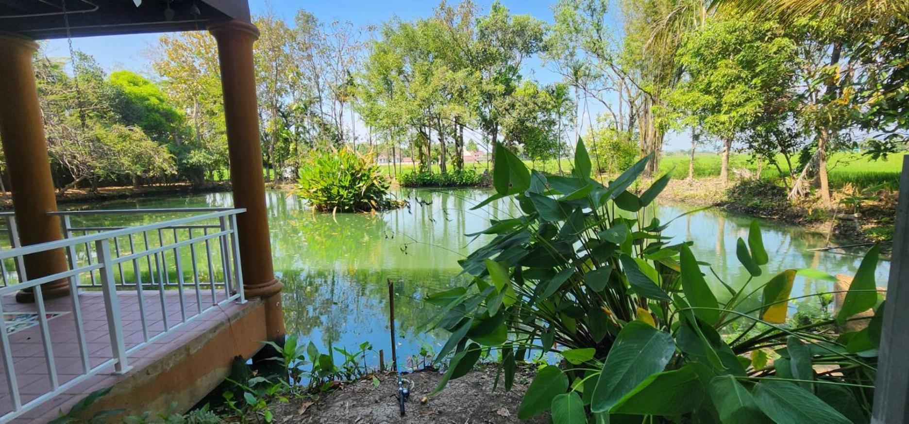 Tung Tong Homestay & Camping Mae Rim Dış mekan fotoğraf