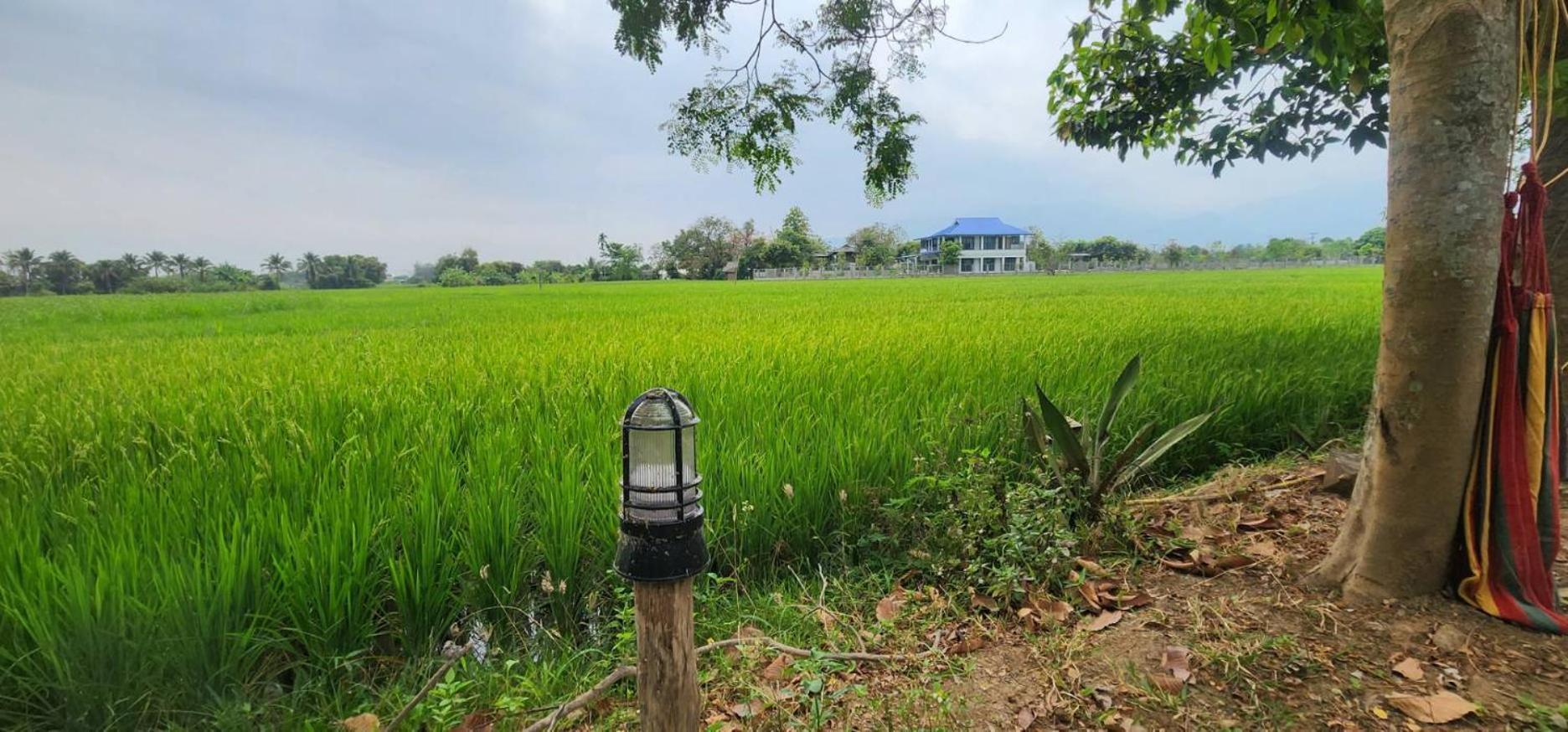Tung Tong Homestay & Camping Mae Rim Dış mekan fotoğraf