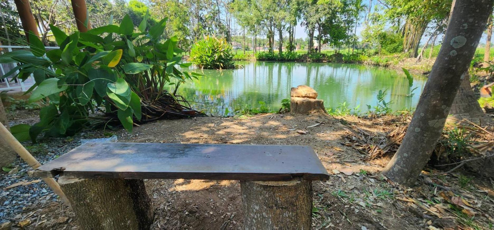 Tung Tong Homestay & Camping Mae Rim Dış mekan fotoğraf
