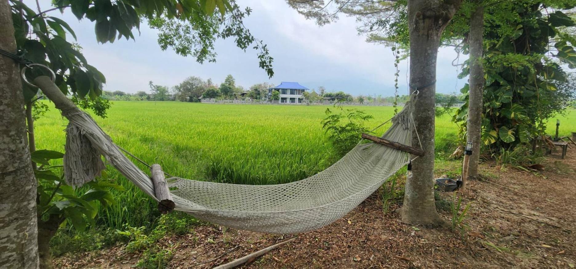 Tung Tong Homestay & Camping Mae Rim Dış mekan fotoğraf