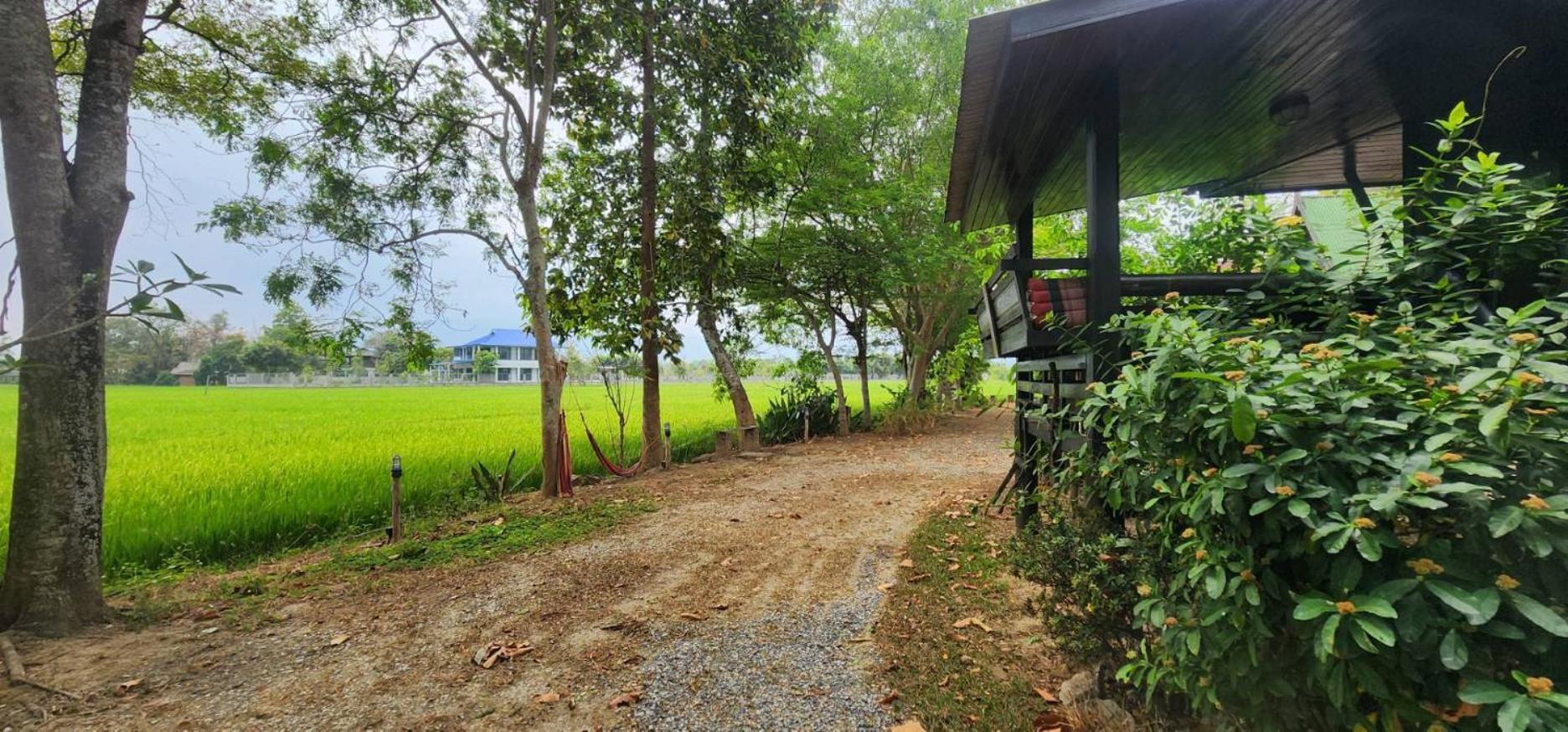 Tung Tong Homestay & Camping Mae Rim Dış mekan fotoğraf