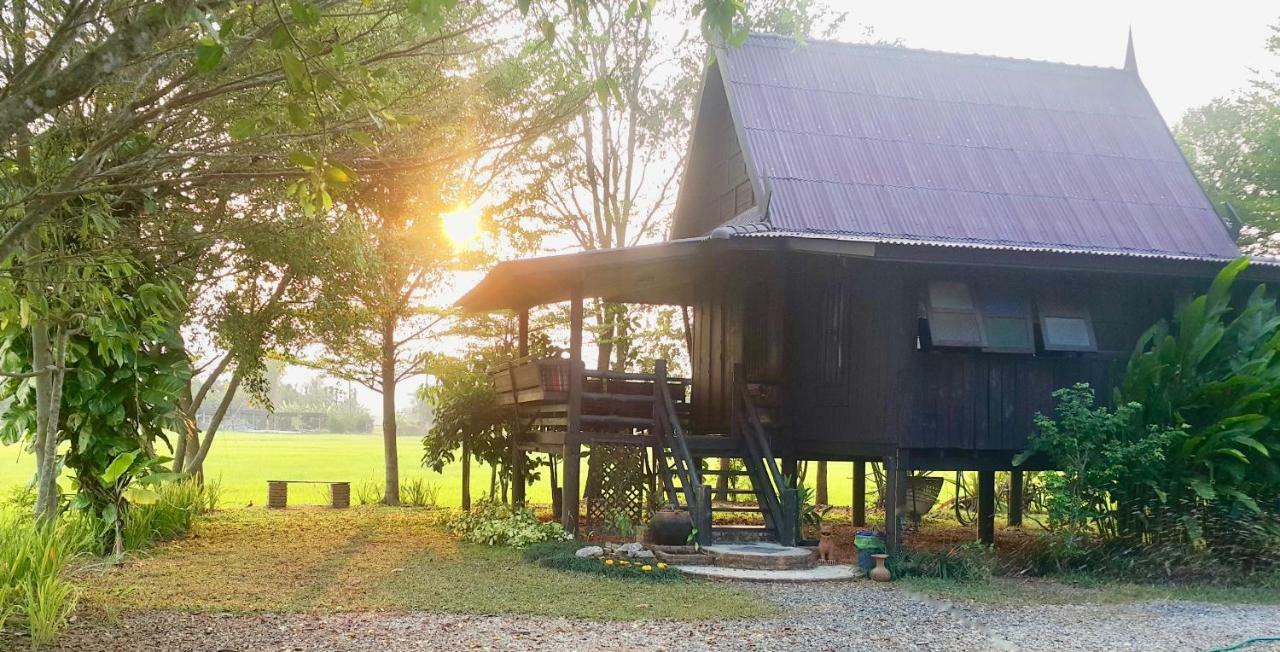 Tung Tong Homestay & Camping Mae Rim Dış mekan fotoğraf